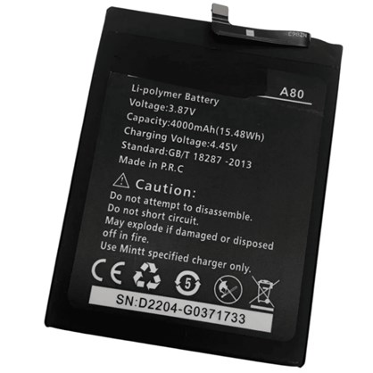 Trident A80 Batarya Pil